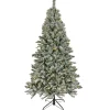 5Ft - 6Ft-National Tree Company 6 1/2' Snowy Harwich Hinged Tree With 350 Dual Color Led Lights