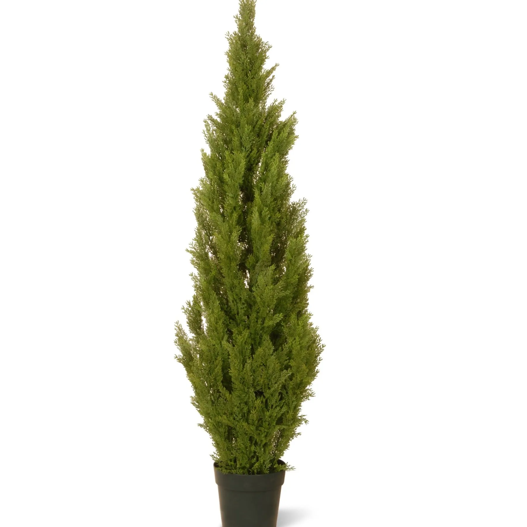 Topiaries / Shurbs-National Tree Company 60" Artificial Arborvitae Tree In Growers Pot