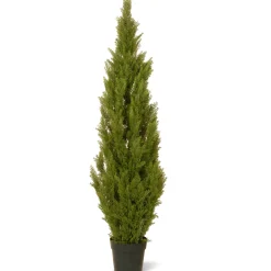 National Tree Company Topiaries / Shurbs^60" Artificial Arborvitae Tree In Growers Pot