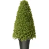 National Tree Company Potted Plants^36" Artificial Boxwood Tree