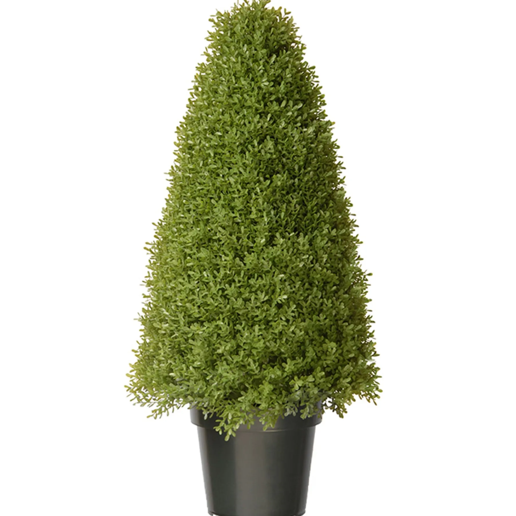 National Tree Company Potted Plants^36" Artificial Boxwood Tree