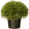 National Tree Company Topiaries / Shurbs^15" Artificial Globe Juniper