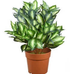 National Tree Company Topiaries / Shurbs^24" Artificial Hosta Plant In Growers Pot