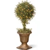 National Tree Company Topiaries / Shurbs^36" Artificial Mini Tea Leaf One-Ball