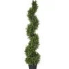 National Tree Company Potted Plants^48" Boxwood Spiral