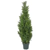 National Tree Company Topiaries / Shurbs^50" Cedar Tree