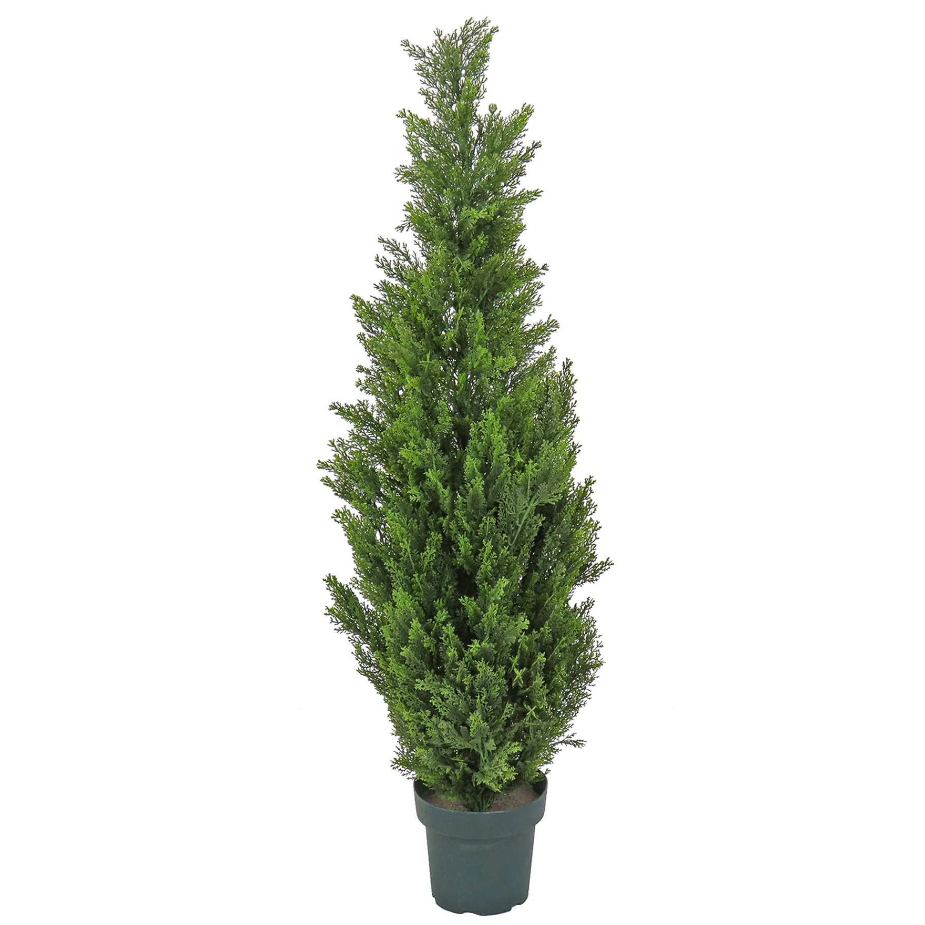 National Tree Company Topiaries / Shurbs^50" Cedar Tree