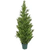 National Tree Company Topiaries / Shurbs^62" Cedar Tree