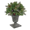 Christmas Greenery-National Tree Company 24" Crestwood® Spruce Porch Bush With Twinkly Led Lights