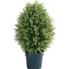 Topiaries / Shurbs-National Tree Company 32" Cypress Tree