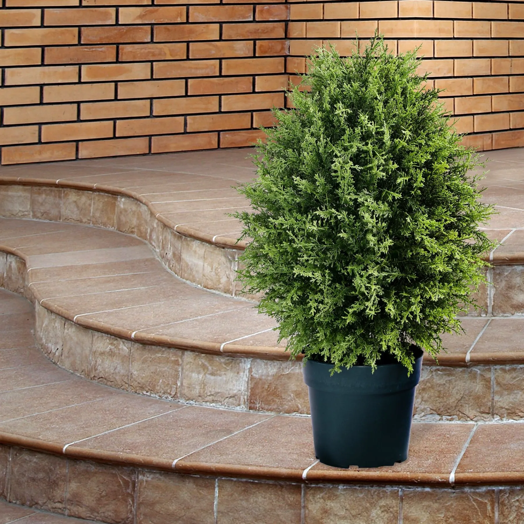 Topiaries / Shurbs-National Tree Company 32" Cypress Tree