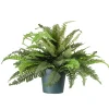 National Tree Company Potted Plants^20" Fern In Dark Green Round Growers Pot