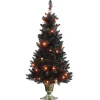 Halloween Christmas Tree-National Tree Company 4 Ft. Black Entrance Tree With String Of Orange Lights