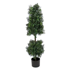 National Tree Company Topiaries / Shurbs^4 Ft. Boxwood Cone And Ball Topiary In Nursery Pot