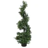 National Tree Company Topiaries / Shurbs^4 Ft. Boxwood Spiral Topiary In Nursery Pot