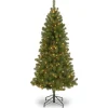 7Ft - 9Ft-National Tree Company 7 Ft. Canadian Grande Fir Tree With Clear Lights