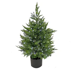 Topiaries / Shurbs-National Tree Company 3 Ft. Cypress Tree With Multi-Function Led Lights