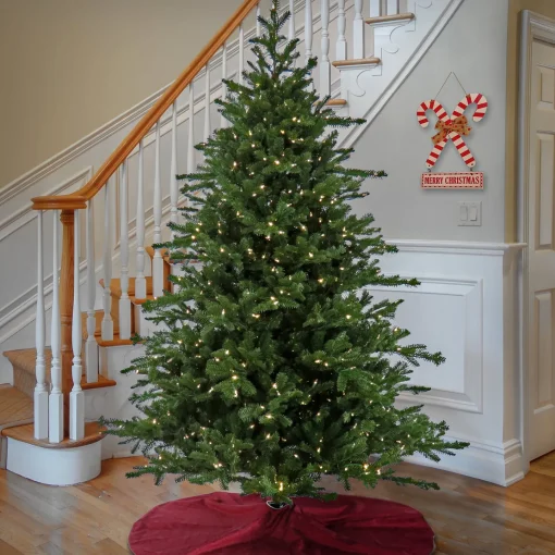 National Tree Company Full^7.5 Ft Douglas Fir Tree With Warm White Led Lights