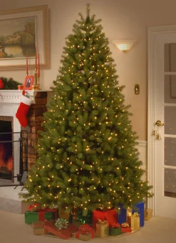 National Tree Company Slim^7.5 Ft Downswept Douglas Fir Tree With Dual Color Led Lights