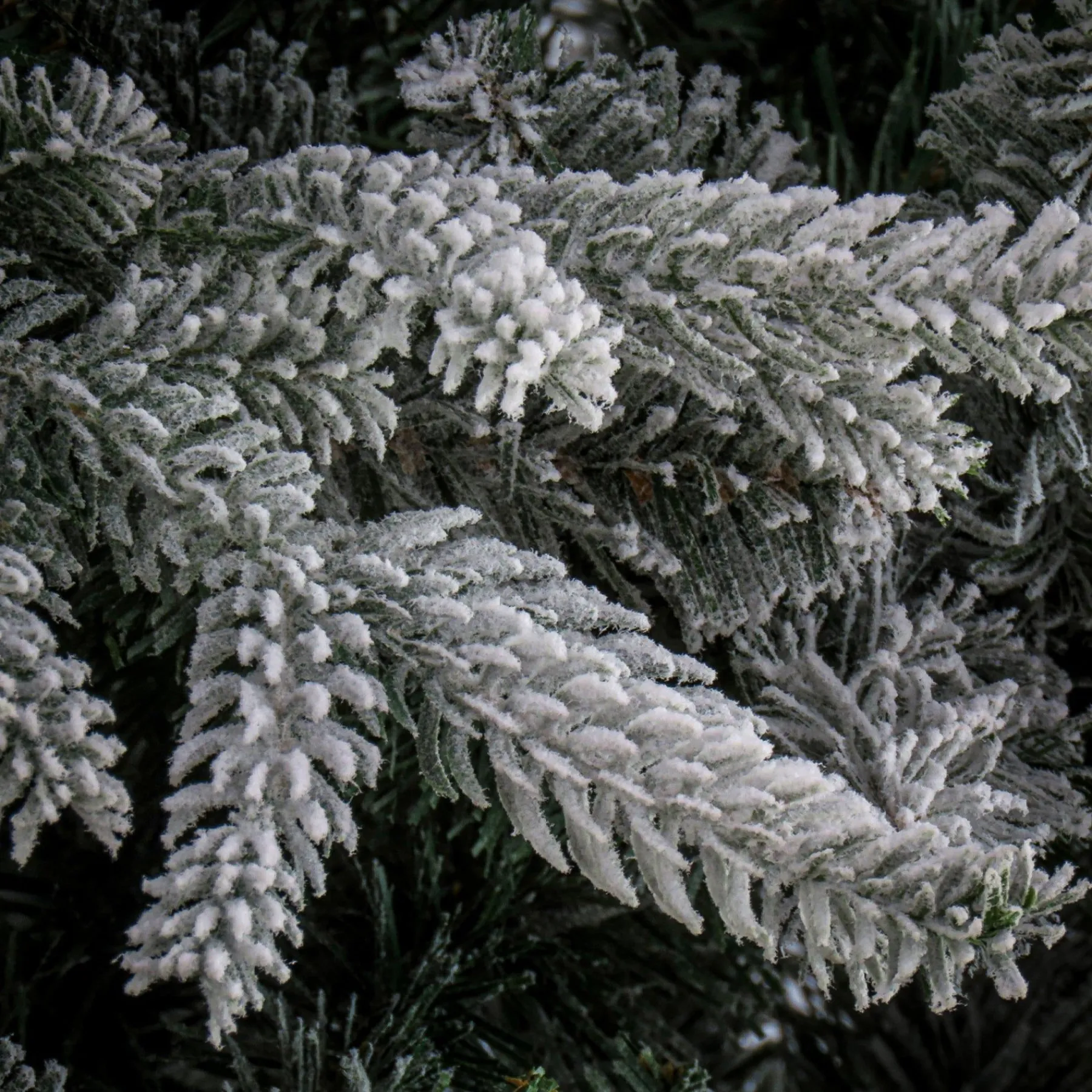 Full-National Tree Company 7.5 Ft Holliston Tree