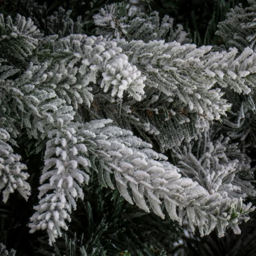 5Ft - 6Ft-National Tree Company 6.5 Ft Holliston Tree
