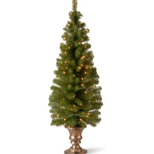 Under 5Ft-National Tree Company 5 Ft. Montclair Spruce Entrance Tree With Clear Lights