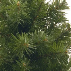 Unlit-National Tree Company 2 Ft Noble Spruce Tree