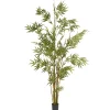 National Tree Company Potted Plants^6 Ft. Potted Japanese Bamboo Tree