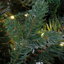 7Ft - 9Ft-National Tree Company 7.5 Ft Pre-Lit Aspen Pine Tree With Led Lights