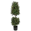 National Tree Company Topiaries / Shurbs^4 Ft. Pre-Lit Boxwood Cone And Ball Topiary In Black Nursery Pot