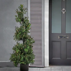 Topiaries / Shurbs-National Tree Company 4 Ft. Pre-Lit Boxwood Spiral Topiary In Black Nursery Pot