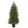 National Tree Company Topiaries / Shurbs^5 Ft. Pre-Lit Cypress Tree In Nursery Pot