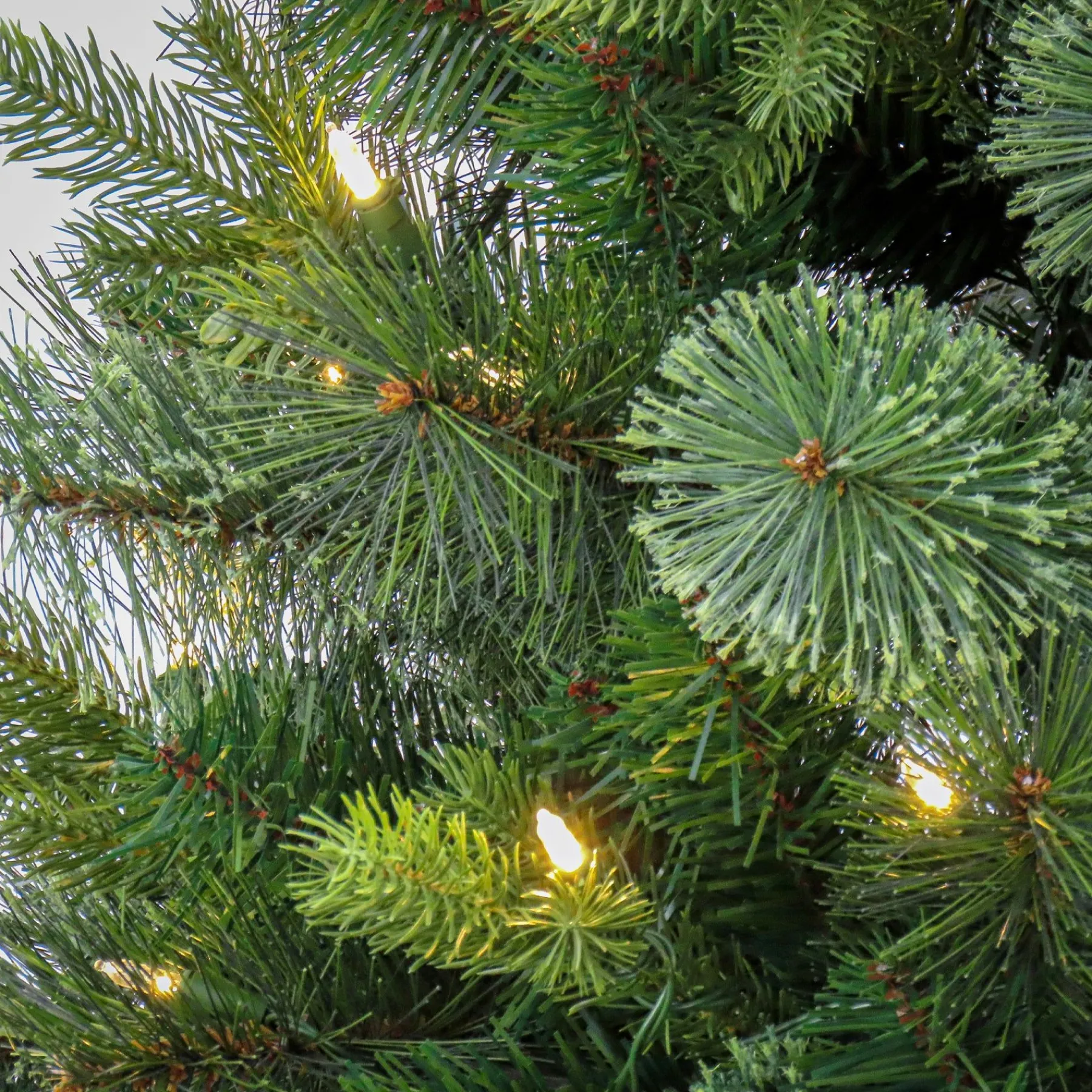 7Ft - 9Ft-National Tree Company 7 Ft Pre-Lit Montreal Pine Tree With Led Lights