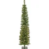 Warm White Led-National Tree Company 6 Ft. Pre-Lit Nooksack Fir Pencil Slim Tree With Led Lights