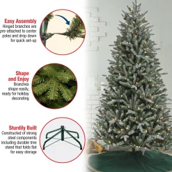 7Ft - 9Ft-National Tree Company 7 Ft Pre-Lit Snowy Olallie Pine Tree With Led Lights