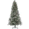 National Tree Company Full^7.5 Ft Pre-Lit Snowy Poechmann Fir Tree With Led Lights