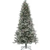 Full-National Tree Company 7.5 Ft Pre-Lit Snowy Poechmann Fir Tree With Led Lights