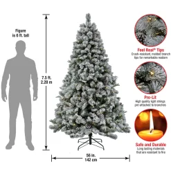 Full-National Tree Company 7.5 Ft. Pre-Lit Snowy Silver Hill Pine Tree With Led Lights