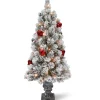 Under 5Ft-National Tree Company 4 Ft. Snowy Bristle Pine Entrance Tree With Clear Lights