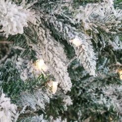 5Ft - 6Ft-National Tree Company 6.5 Ft. Snowy Mixed Pine Tree With Clear Lights