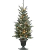 Clear-National Tree Company 4 Ft Snowy Morgan Spruce Entrance Tree With Clear Lights