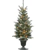 National Tree Company Slim^4 Ft Snowy Morgan Spruce Entrance Tree With Clear Lights