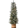 Slim-National Tree Company 6 Ft. Snowy Sheffield Spruce Slim Half Tree With Clear Lights