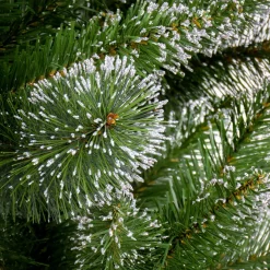 Full-National Tree Company 6 Ft. Snowy Sierra Spruce Tree