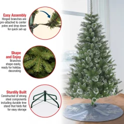 Full-National Tree Company 6 Ft. Snowy Sierra Spruce Tree