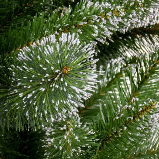 5Ft - 6Ft-National Tree Company 6 Ft. Snowy Sierra Spruce Tree