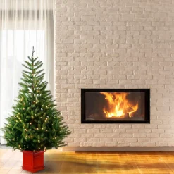 Full-National Tree Company 5 Ft. Topeka Spruce Entrance Tree With Clear Lights