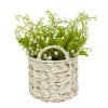 Flower Bouquets-National Tree Company 11" Green Lily-Of-The-Valley Flowers In White Basket