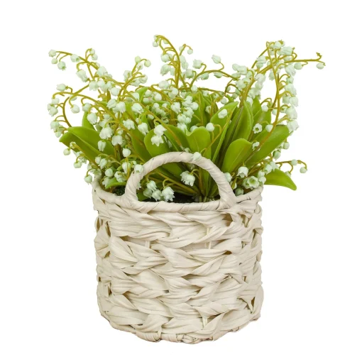 Flower Bouquets-National Tree Company 11" Green Lily-Of-The-Valley Flowers In White Basket