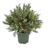 Christmas Greenery-National Tree Company 28" Hgtv Home Collection Pre-Lit Holly And Berry Planter Filler